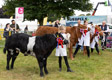 Malton Show 2024